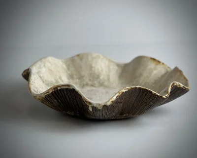 Decorative ceramic bowl "Wave"